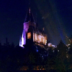 o0480048013090654271