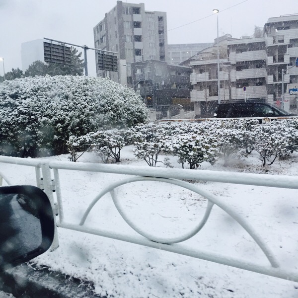 大阪でも雪まみれやないか！！