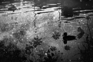 愚痴ばかりなら、そのお店、辞めません？ by 小林Ken | POOL MAGAZINE|  が共感し過ぎた話。【キュレーション記事】