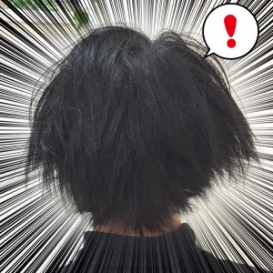 これは流石にやばいと思ったので切った。