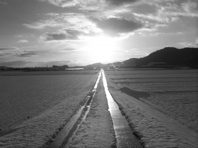 8893c661b55a2a2ad0e64156eeb4b2c1_s