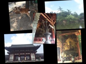 奈良の大仏と鹿と日本人な僕