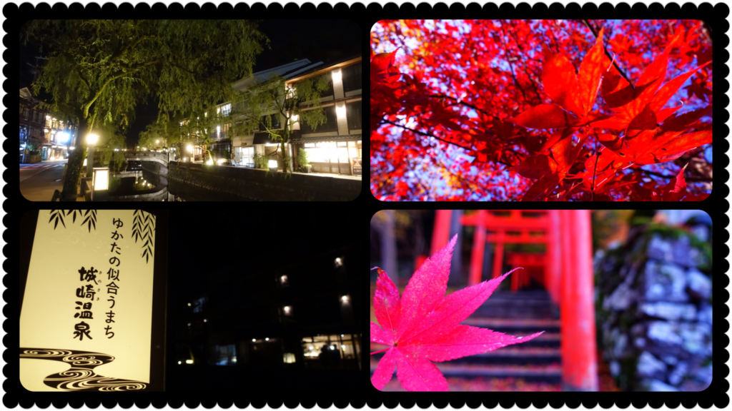 12月に向けての準備。最後のパワー充電完了120%！