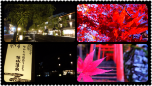 12月に向けての準備。最後のパワー充電完了120%！