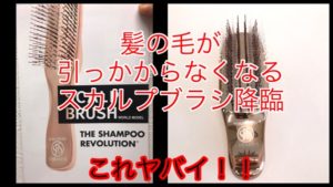 特許とってるスカルプブラシ！髪の毛がマジで引っかからないで梳かせる魔法のブラシ