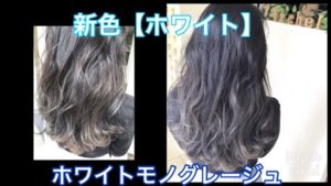 新色【ホワイト】を50%以上使ったら透明感が凄いモノグレージュになった！！【りえこさん】の髪
