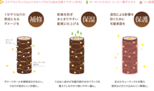 【クセノ】どんな髪質の方が使ったら良いのか！？